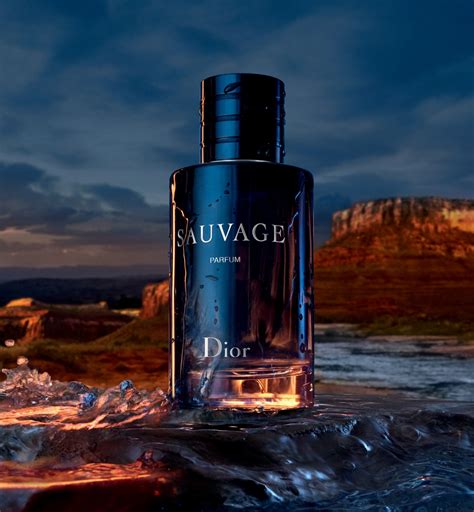 dior sauvage winter|sauvage elixir Dior perfume.